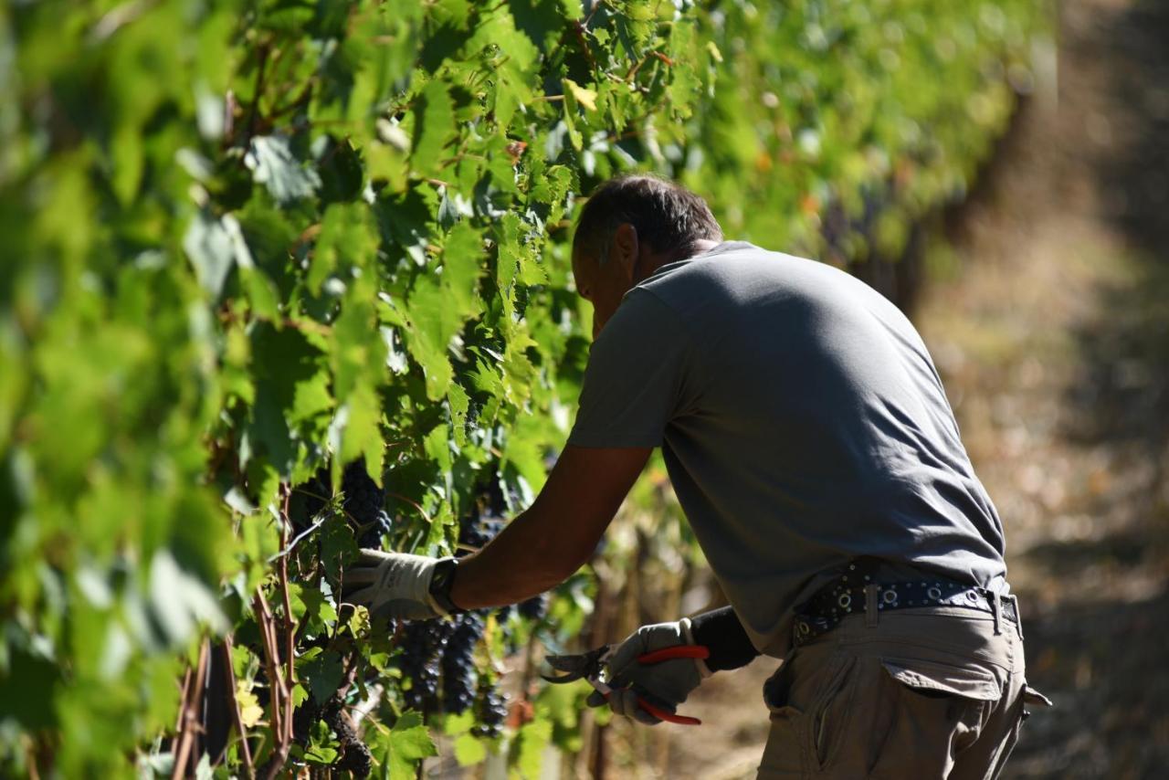 Il Palazzo - Agriturismo, Winery Arezzo Bagian luar foto
