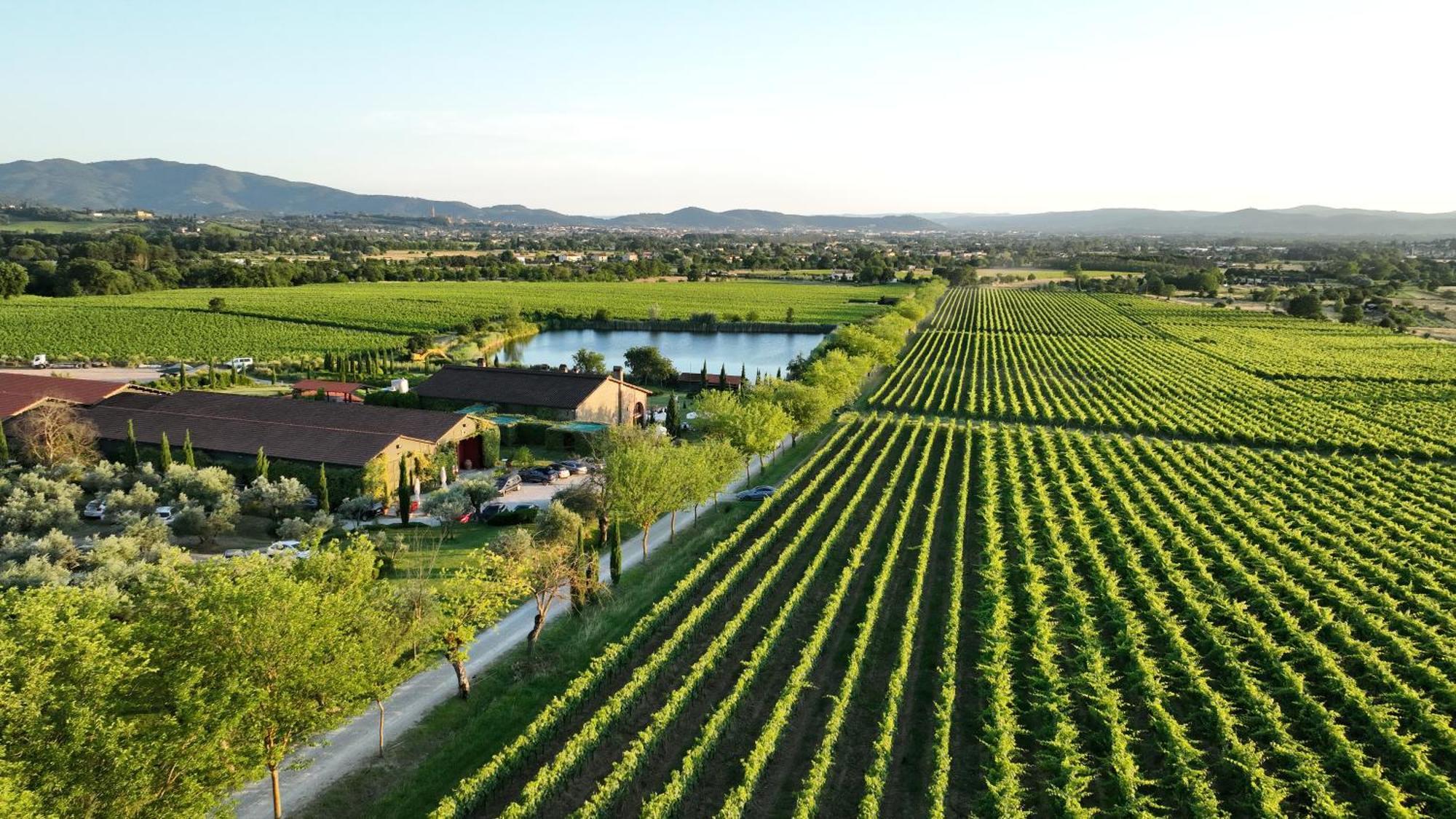 Il Palazzo - Agriturismo, Winery Arezzo Bagian luar foto
