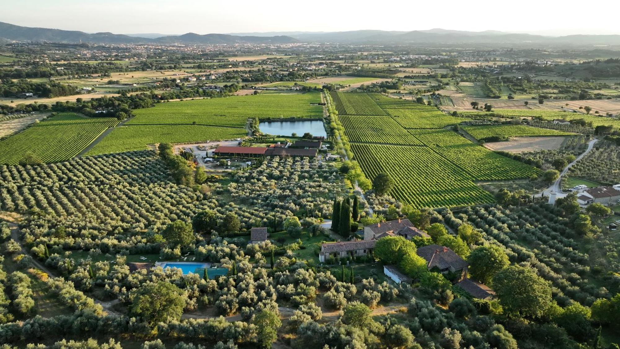 Il Palazzo - Agriturismo, Winery Arezzo Bagian luar foto